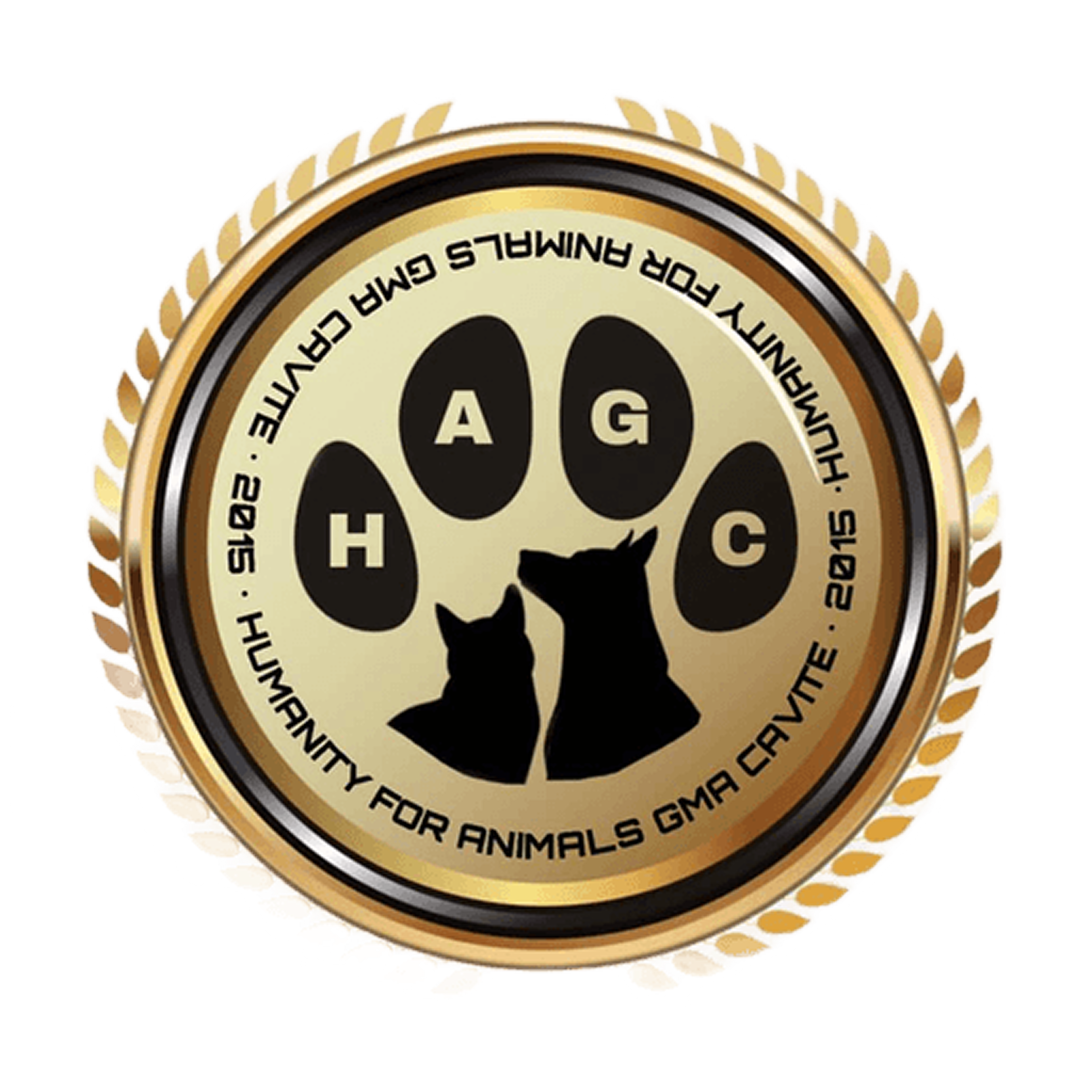 PawsConnect Web preview